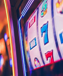 Multi-Sport Coverage